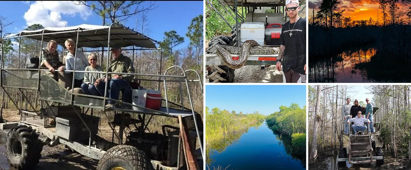 4-Hour Swamp Buggy Adventure Tour in Florida
