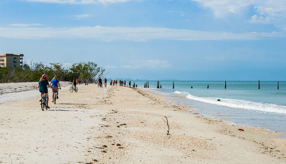 Cyclists and pedestrians enjoy a sunny day on a beachfront path with remnants of old pier pilings in the water and a city skyline in the distance