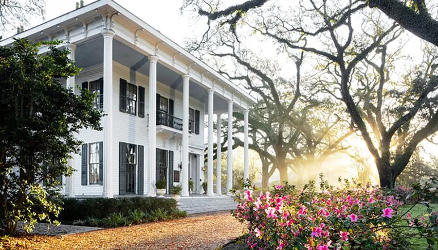 The image depicts a grand white two-story plantation-style house with a columned porch, surrounded by mature oak trees and flowering bushes, bathed in the warm glow of the morning sunlight.