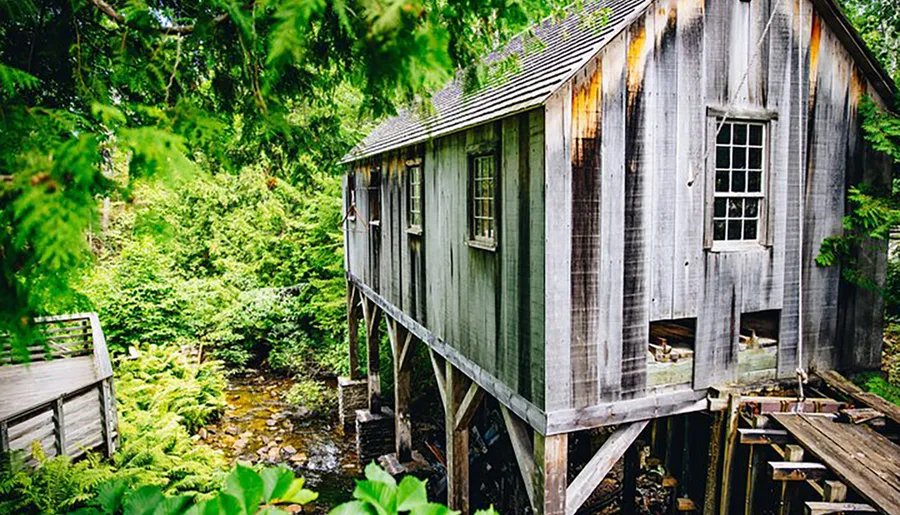 A weathered wooden cabin stands on stilts over a small stream, surrounded by lush greenery.