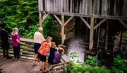 A group of people observes water flowing underneath a wooden structure from a viewing platform surrounded by lush greenery.