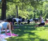 Three people are practicing yoga in a park with skyscrapers in the background