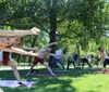 Three people are practicing yoga in a park with skyscrapers in the background