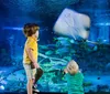 A family looks up in awe at sharks swimming overhead in an underwater tunnel at an aquarium