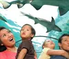 A family looks up in awe at sharks swimming overhead in an underwater tunnel at an aquarium