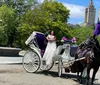 A white horse harnessed to an elegant white and purple horse-drawn carriage stands ready for passengers in a sunny outdoor setting