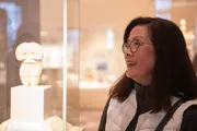 A person is admiring an exhibit within a glass display in what appears to be a museum setting.