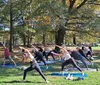 A group of people are posing joyfully on yoga mats in a sunny park with autumn foliage in the background