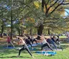 A group of people is participating in an outdoor yoga class in a park filled with trees and enjoying the sunny weather