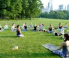 A group of people is participating in an outdoor yoga class in a park filled with trees and enjoying the sunny weather