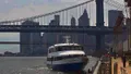 NYC Manhattan Skyline and Statue of Liberty Evening Cruise Photo