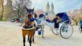 45 Min Long VIP Central Park Carriage Ride Photo