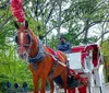 Tourists are enjoying a carriage ride in a park with a city skyline in the background