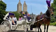 Tourists are enjoying a carriage ride in a park with a city skyline in the background.