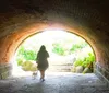 A person walking with a dog through a sunlit tunnel towards the outdoors