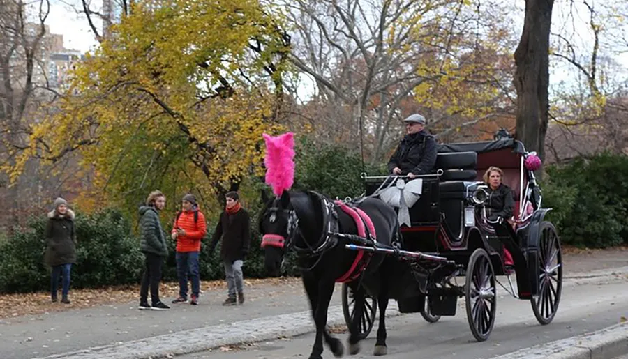 A horse with a pink plume pulls an elegant carriage with two passengers inside while people walk along the tree-lined path beside them, suggesting an urban park setting.