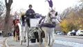 Horse Carriage Tour in Central Park Small Loop Photo