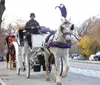 A horse-drawn carriage with a driver is trotting along a paved park road offering a glimpse of an iconic mode of traditional transportation amidst a natural and urban backdrop