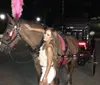 A horse-drawn carriage with a driver is trotting along a paved park road offering a glimpse of an iconic mode of traditional transportation amidst a natural and urban backdrop