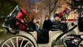 New York City Private Christmas Lights Horse and Carriage Tour Photo