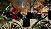 Four individuals are smiling for a photo while sitting in a horse-drawn carriage at night, with urban trees and streetlights in the background.