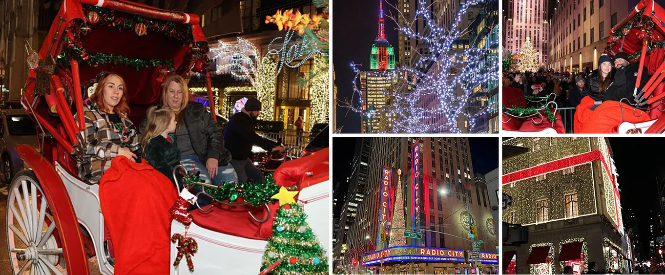 NYC Christmas Lights Special Horse Carriage Ride
