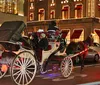 A group of people is enjoying a festive horse-drawn carriage ride at night with holiday decorations illuminating the surroundings