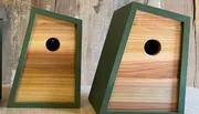 The image shows two wooden birdhouses with entrance holes, painted green around the edges, displayed on a wooden background.