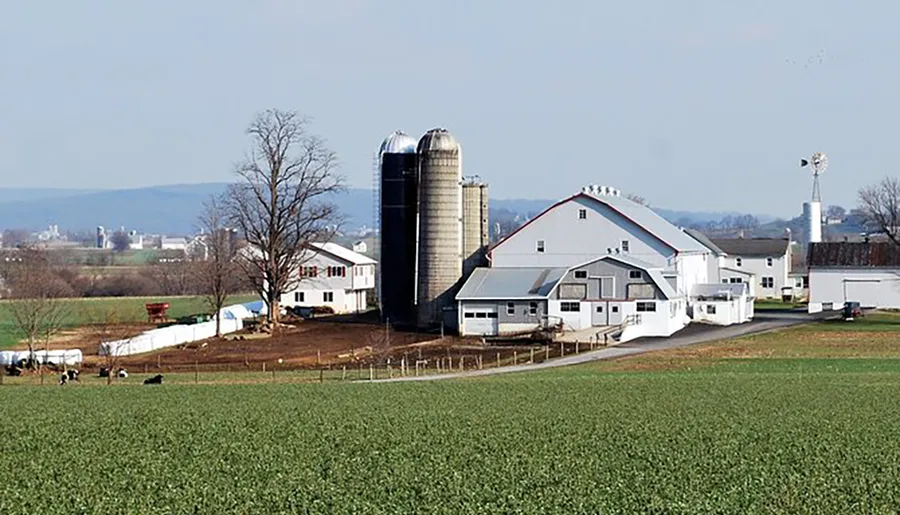 The image depicts a scenic rural farm with large white barnhouses, cylindrical silos, cows grazing, and a green field in the foreground, capturing the essence of pastoral life.