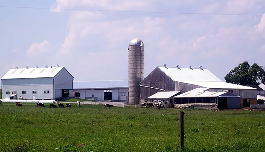 The image shows a pastoral farm scene with multiple buildings, including a barn and a silo, with cows grazing in the foreground.