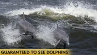 Myrtle Beach Dolphin Cruise &...