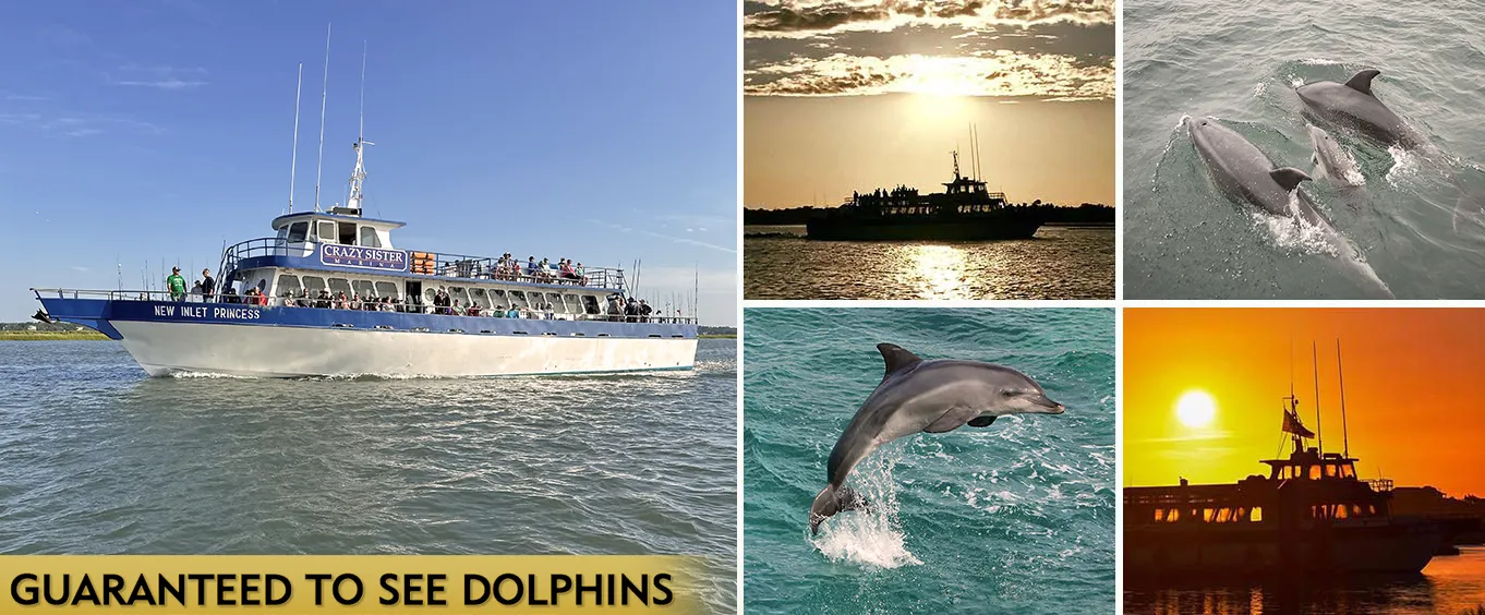 Myrtle Beach Dolphin Cruise & Dolphin Tours - Guaranteed to See Dolphins