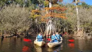 Three people are kayaking in a scenic waterway surrounded by trees with some showing autumnal colors.