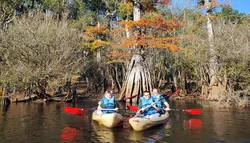 Popular Kayak Tours