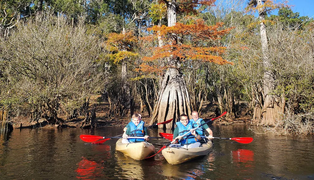 Three people are kayaking in a scenic waterway surrounded by trees with some showing autumnal colors