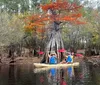 Three people are kayaking in a scenic waterway surrounded by trees with some showing autumnal colors