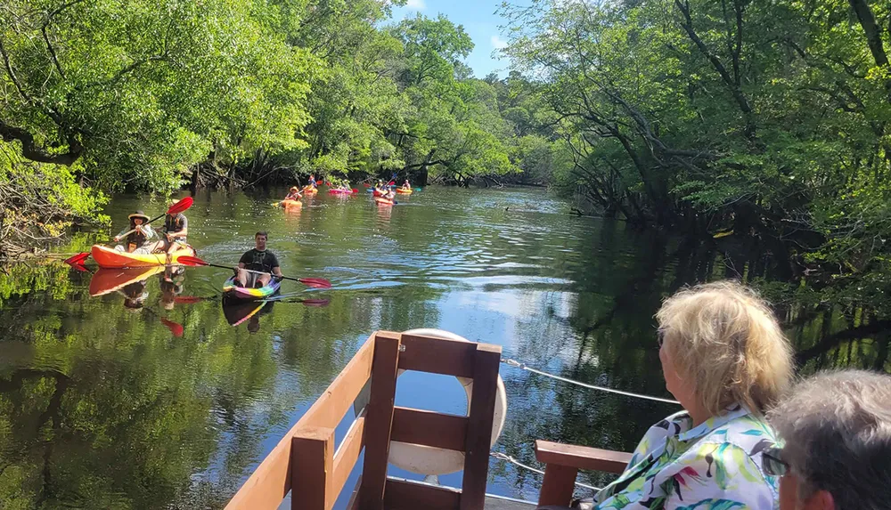 People in kayaks paddle down a serene tree-lined river with onlookers from a nearby boat