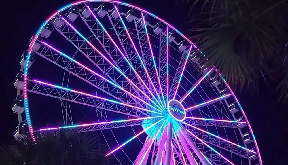 A brightly lit Ferris wheel illuminates the night with vibrant neon colors standing out against the dark sky and palm fronds