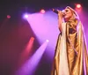 Two performers on stage dressed in gold capes and white outfits sing under bright lights with the text Direct from Sweden The Music of ABBA displayed above them