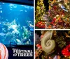 The image is a collage showing decorated Christmas trees from Ripleys Festival of Trees each with a unique theme and ornate decorations with one placed by an aquarium