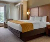 Photo of Comfort Suites Myrtle Beach Room