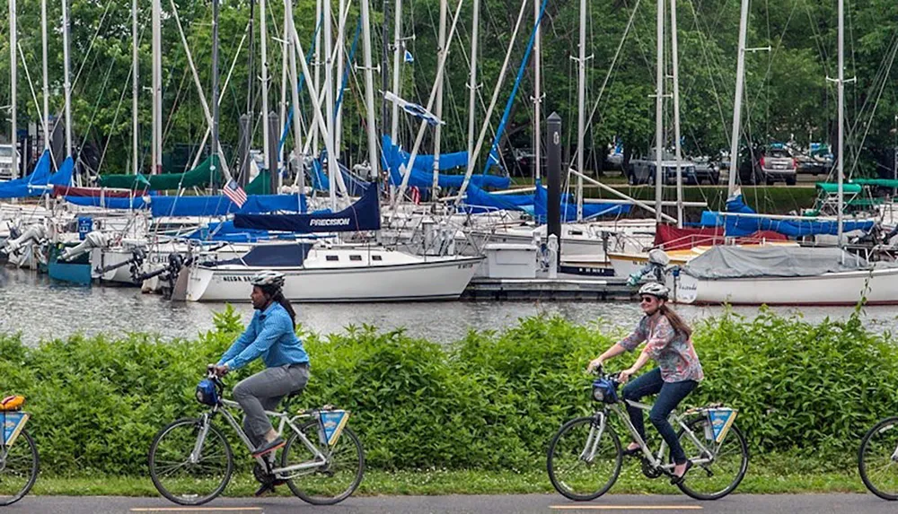 Two people are riding bicycles along a path near a marina filled with sailboats