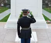 A soldier salutes in front of a memorial with a wreath laid at its base