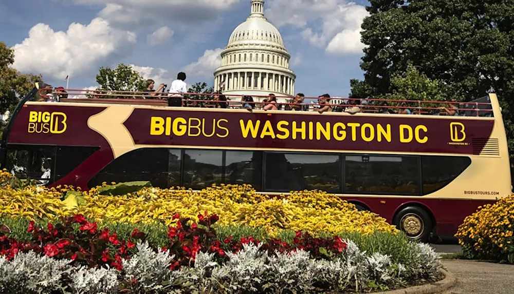 A double-decker tour bus in Washington DC passes by colorful flowers and the iconic dome of the US Capitol under a partly cloudy sky