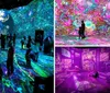 The image shows people in an immersive digital art exhibit featuring vibrant colors and a large projection of Earth on the wall