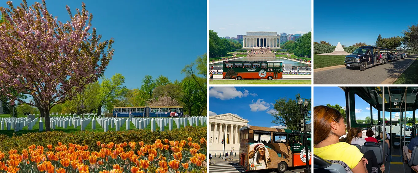 Washington DC & Arlington Cemetery: Hop-on Hop-off Trolley Tour