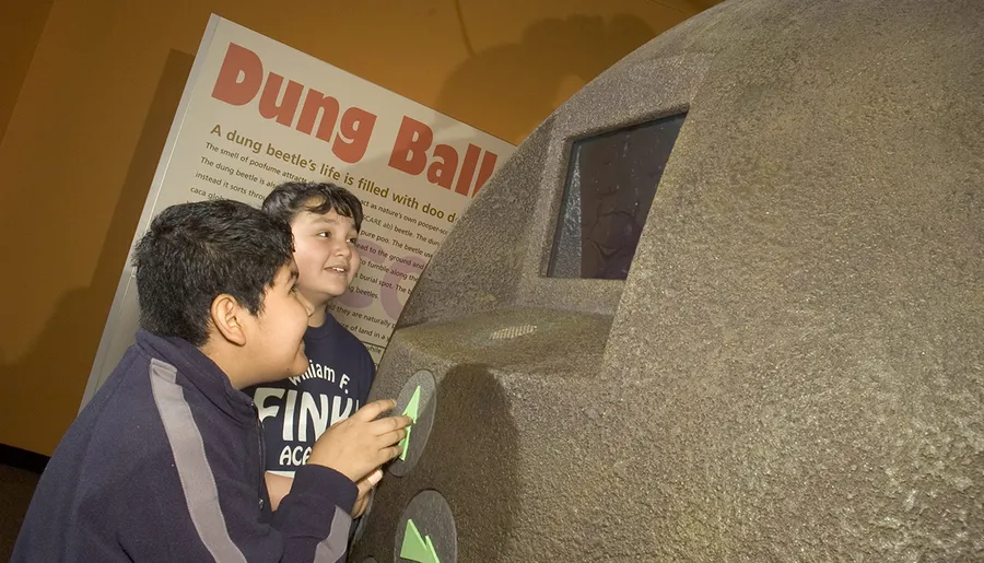 Two children are engaged and smiling as they look at an interactive exhibit featuring a large simulated dung ball at a museum or educational center.