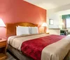Photo of Econo Lodge Inn  Suites - Memphis TN Room