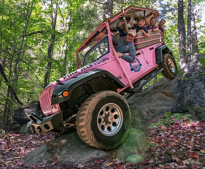 Pink Jeep Tours of Pigeon