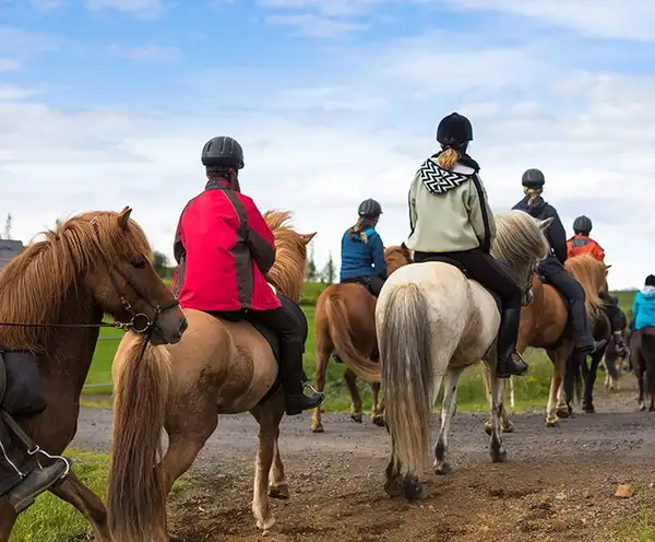 Five Oaks Riding Stables